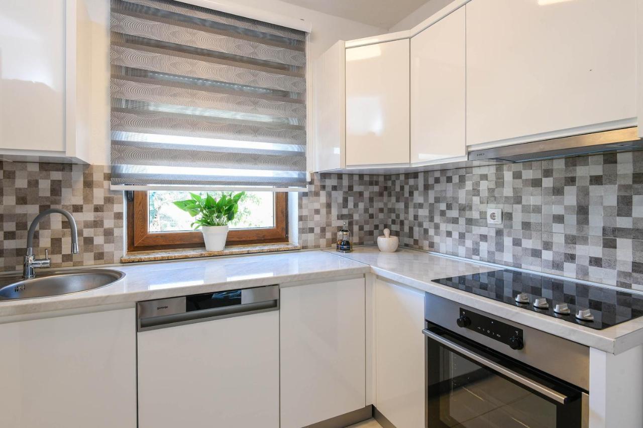Lidija Apartmani 오레비츠 객실 사진